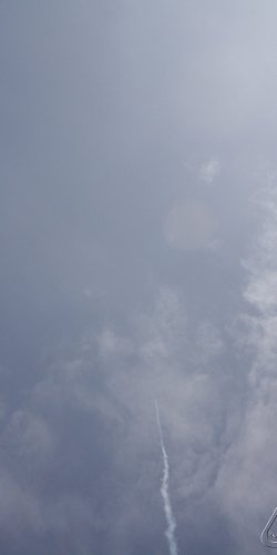 2013 Svojek Mirek Topinka